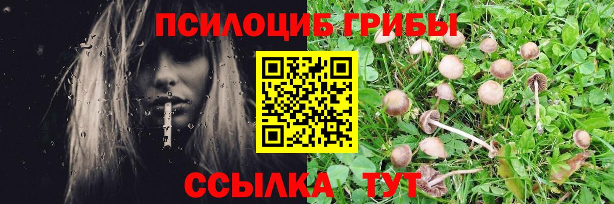Новоалтайск  Псилоцибиновые грибы ЛСД  Вход с VPN 